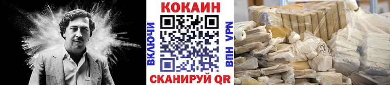 где продают наркотики  Ачхой-Мартан  Кокаин FishScale 