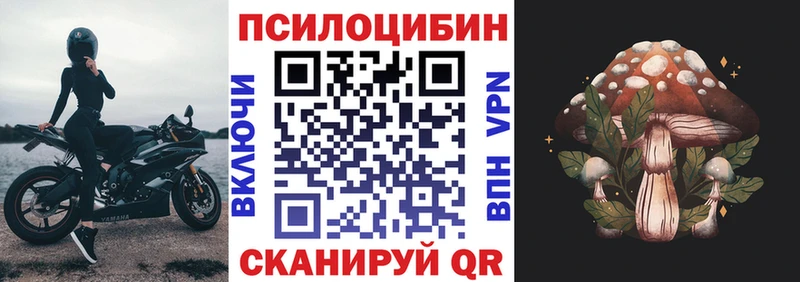 Псилоцибиновые грибы Cubensis Ачхой-Мартан