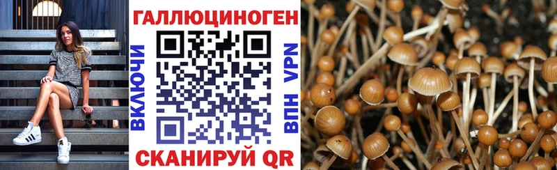 цены наркотик Ачхой-Мартан Псилоцибиновые грибы Cubensis