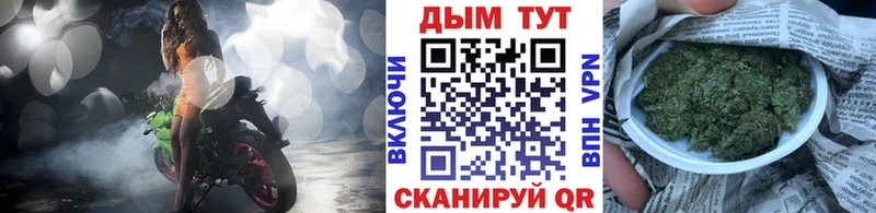 где купить наркотик  Ачхой-Мартан  Каннабис планчик 